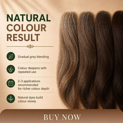 Ayurvedic Hair Colour & Scalp Nourishing Hair Mask - Trehi Organics